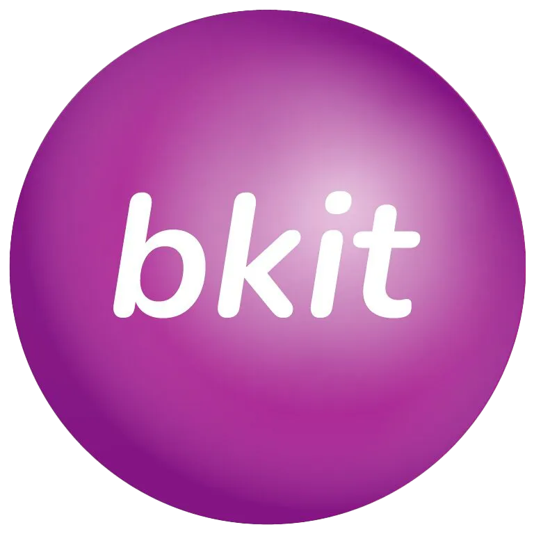 Big Knowledge IT Logo